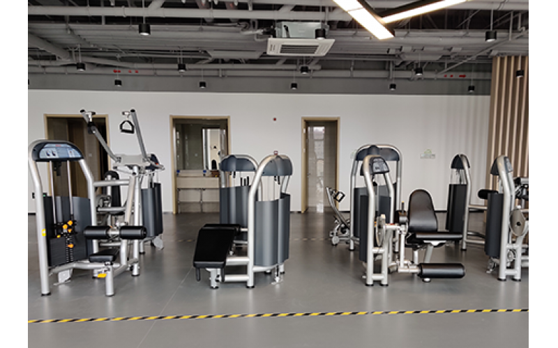 固定力量训练区域