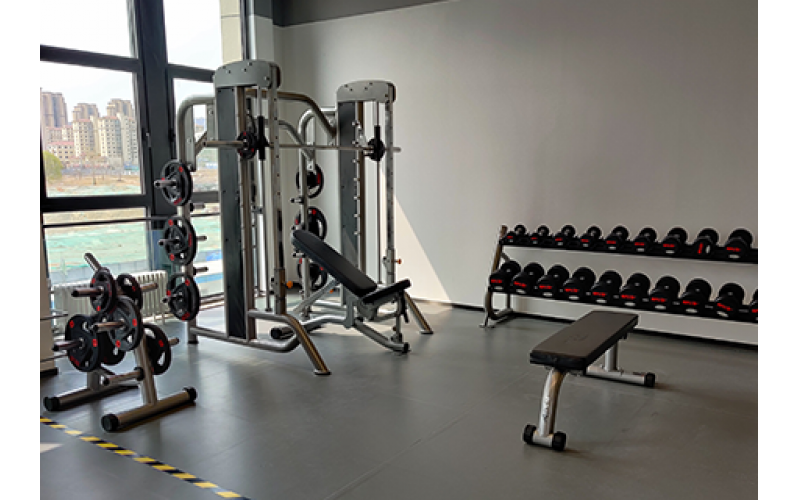 自由力量训练区域