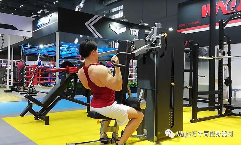 万年青