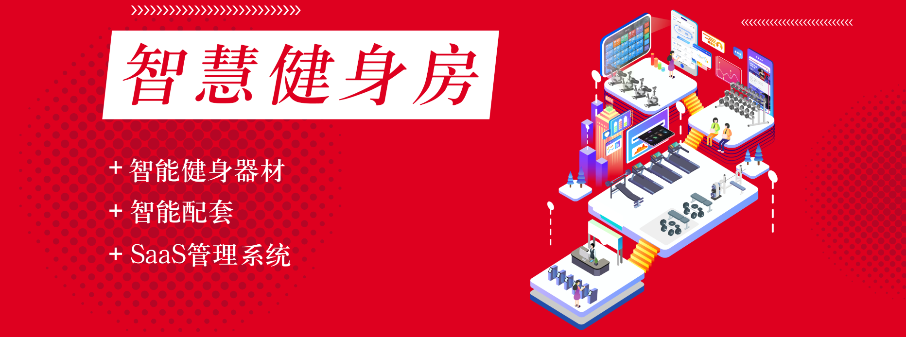 万年青
